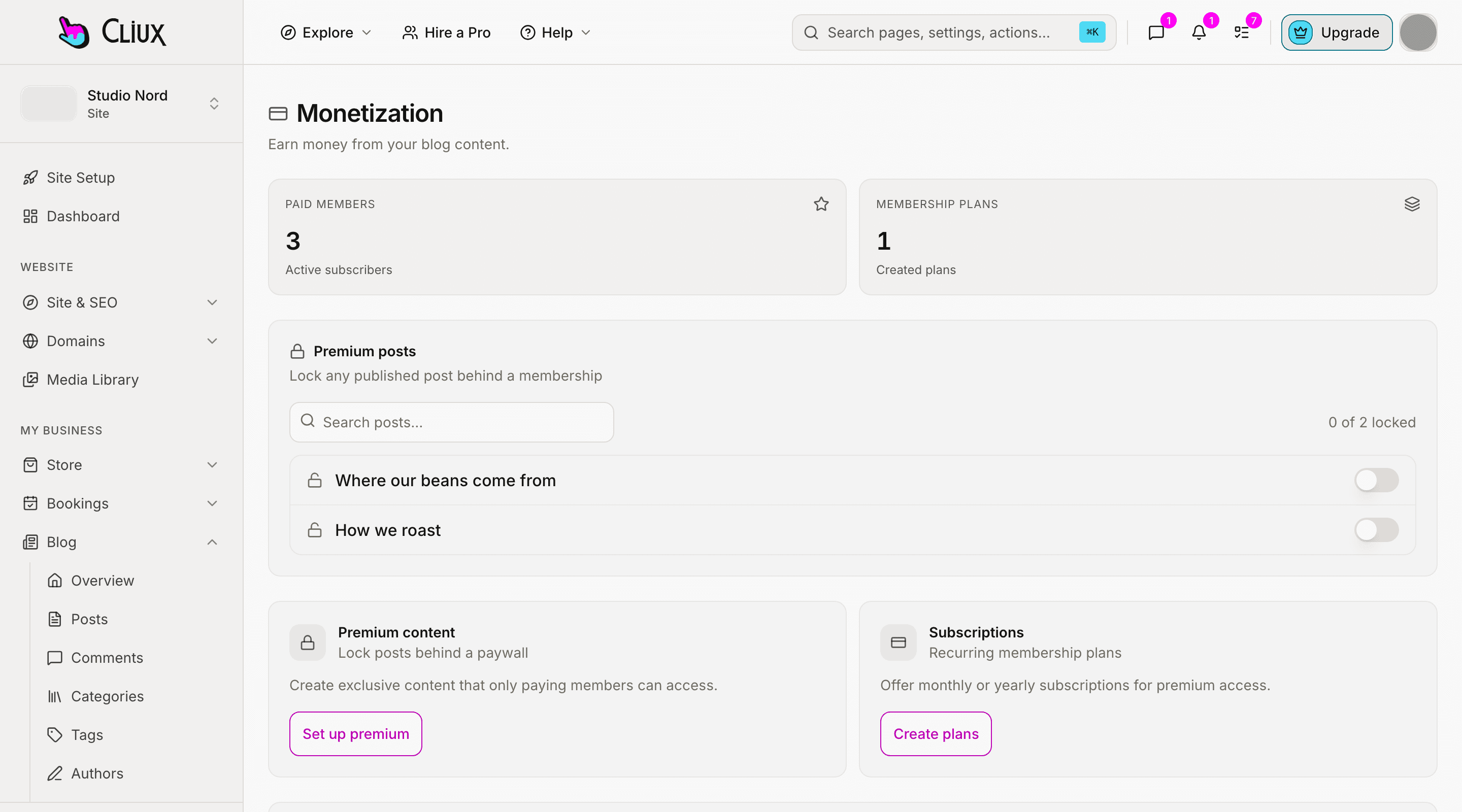The blog monetization screen: paid members, plans and premium posts, with sample data